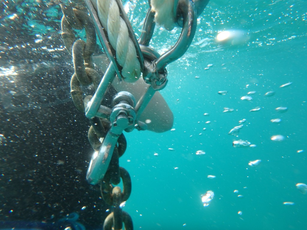 Anchor snubber - always good to dive on the anchor