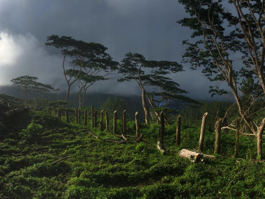 Before the Rain - Part of an amazing panorama taken on the pastures of upper Nuku Hiva