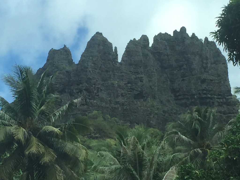 Marquesan Crags - There are many goats roaming on these rocks