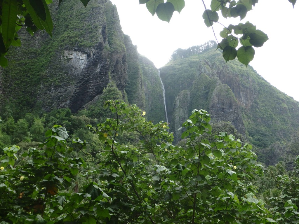 Hakatea Falls - A brief glimpse from the trail