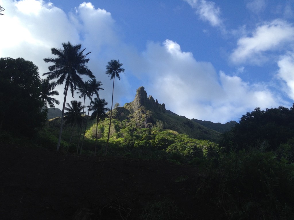 Hanavavae Valley - On approach to serious mango honey