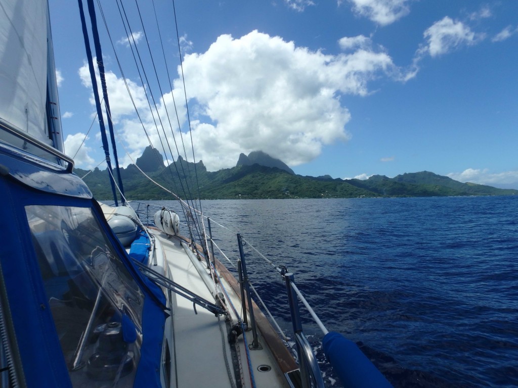 Anchorage Haapiti - West Moorea