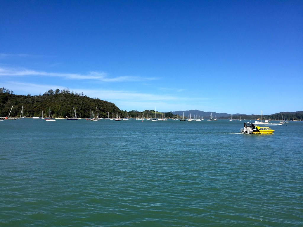 Bay of Islands - Small towns with many, many boats - feels like home