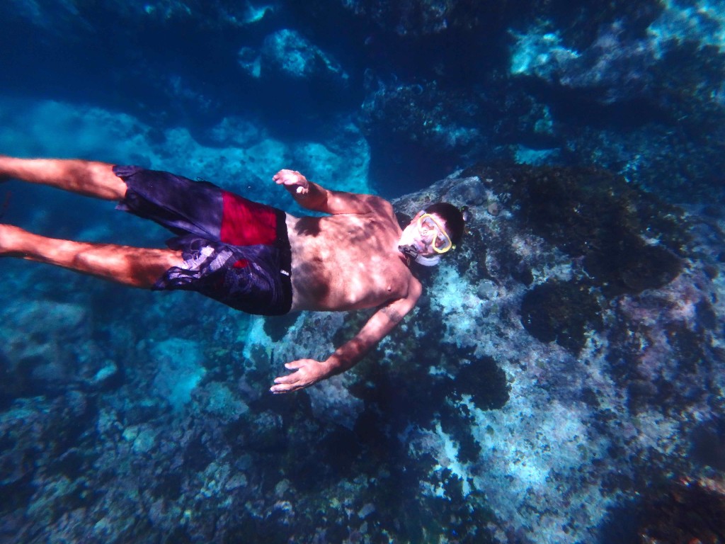 Top Down - Observing the Big Guy in his natural environment. Peter about 5m below.