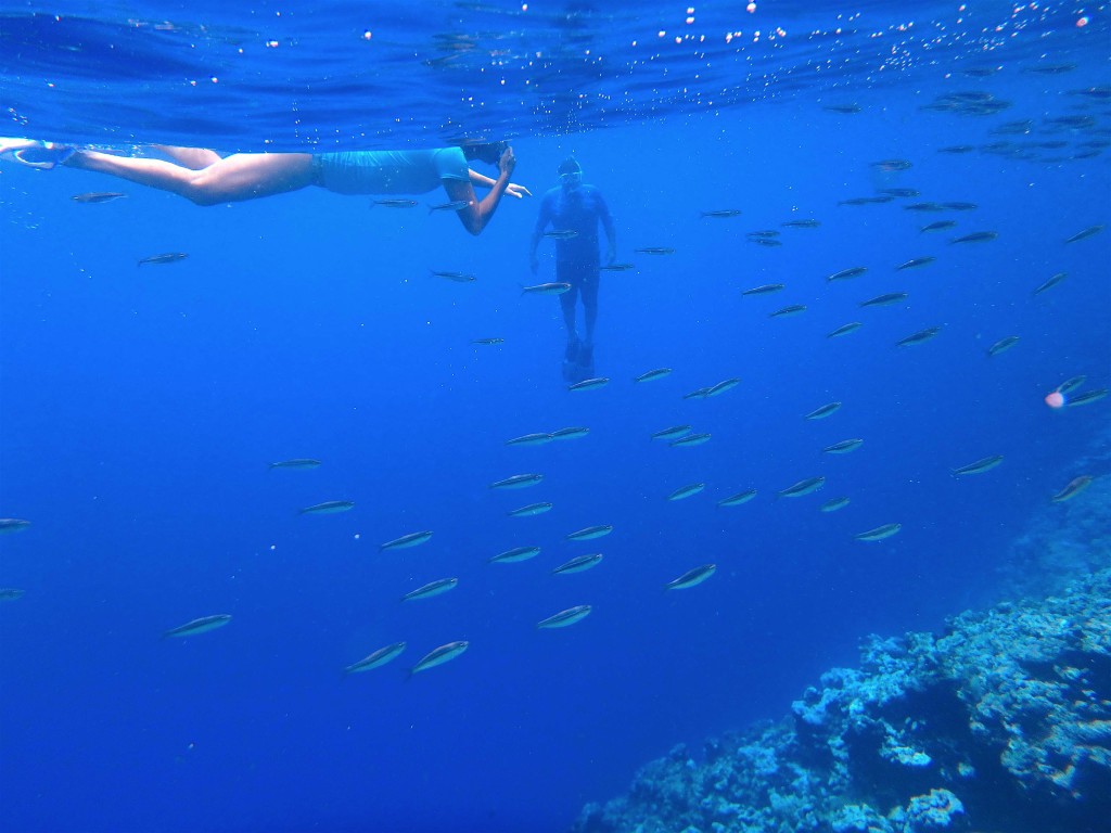 Swimming with the Fishes - Karen & Peter