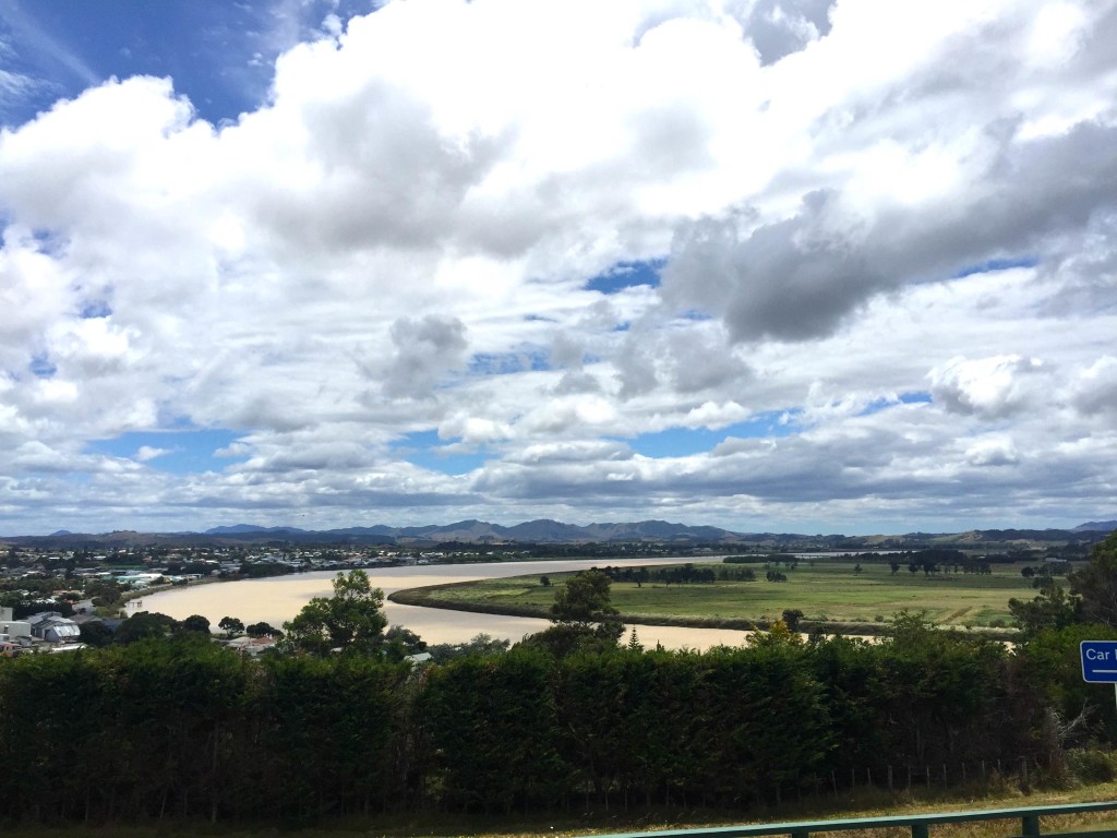 Dargaville Overlook - Surveying the landscape from this West coast town