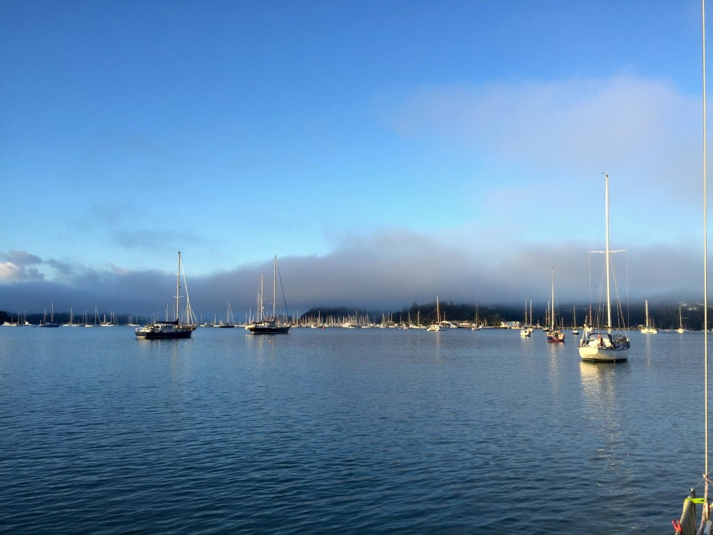 Opua From Mooring - A morning view from our mooring near Tapu Point