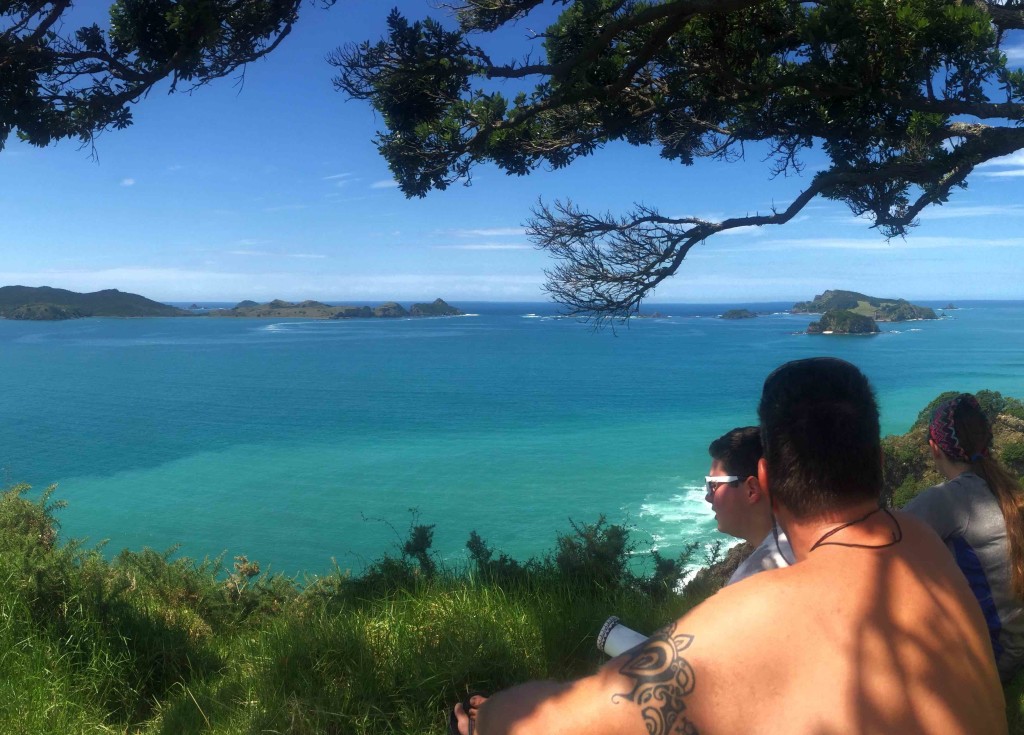 Matauri Bay Overlook - A beautiful view!