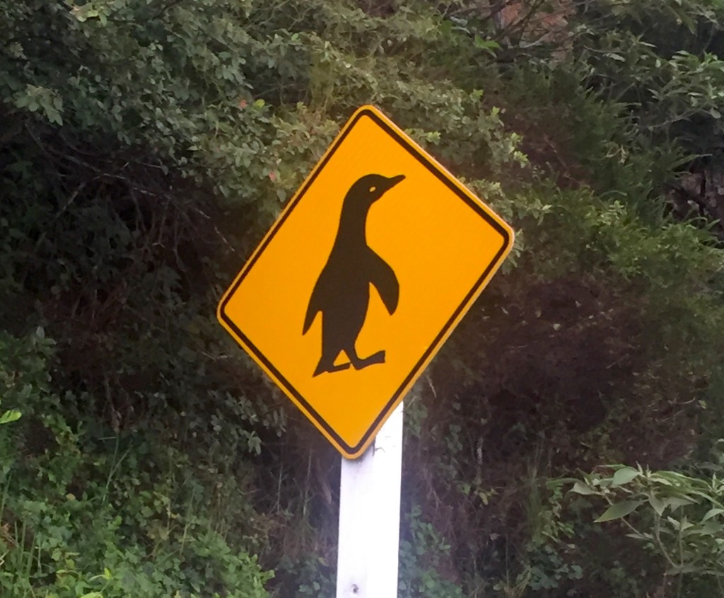 Penguin Crossing - We think it is highly unlikely to see penguins crossing the road, but you never know