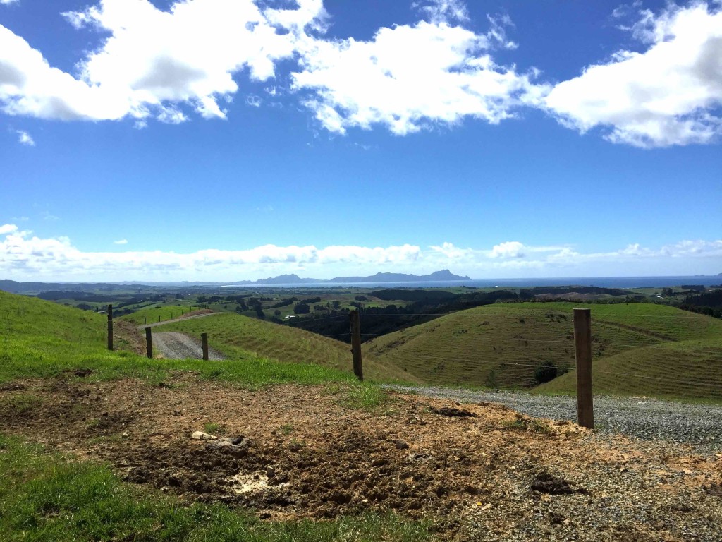 Whangarei Head - Looking northward toward Whangarei Head