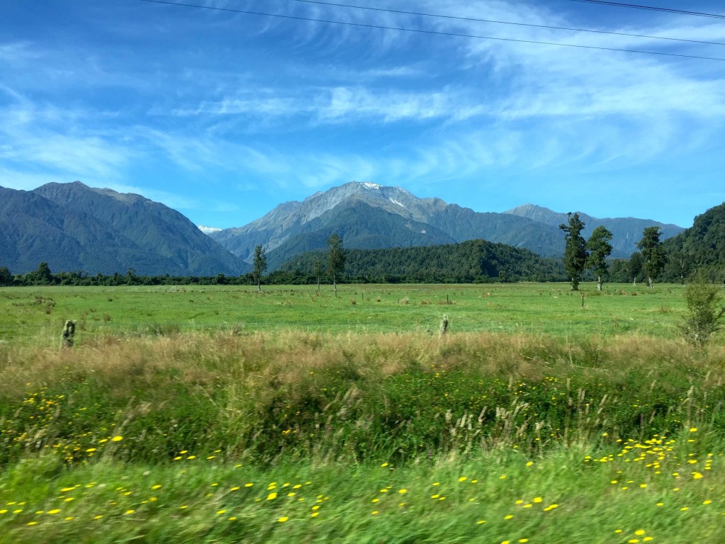 Missing Vineyards - Although a bit past the vineyard section of our drive, this photo conveys the idea