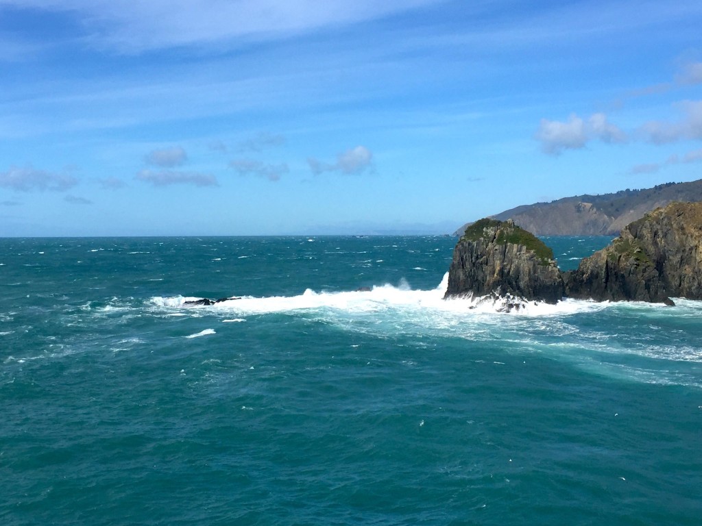 Leaving the South Island on the Interislander ferry, and another 30 knot day!