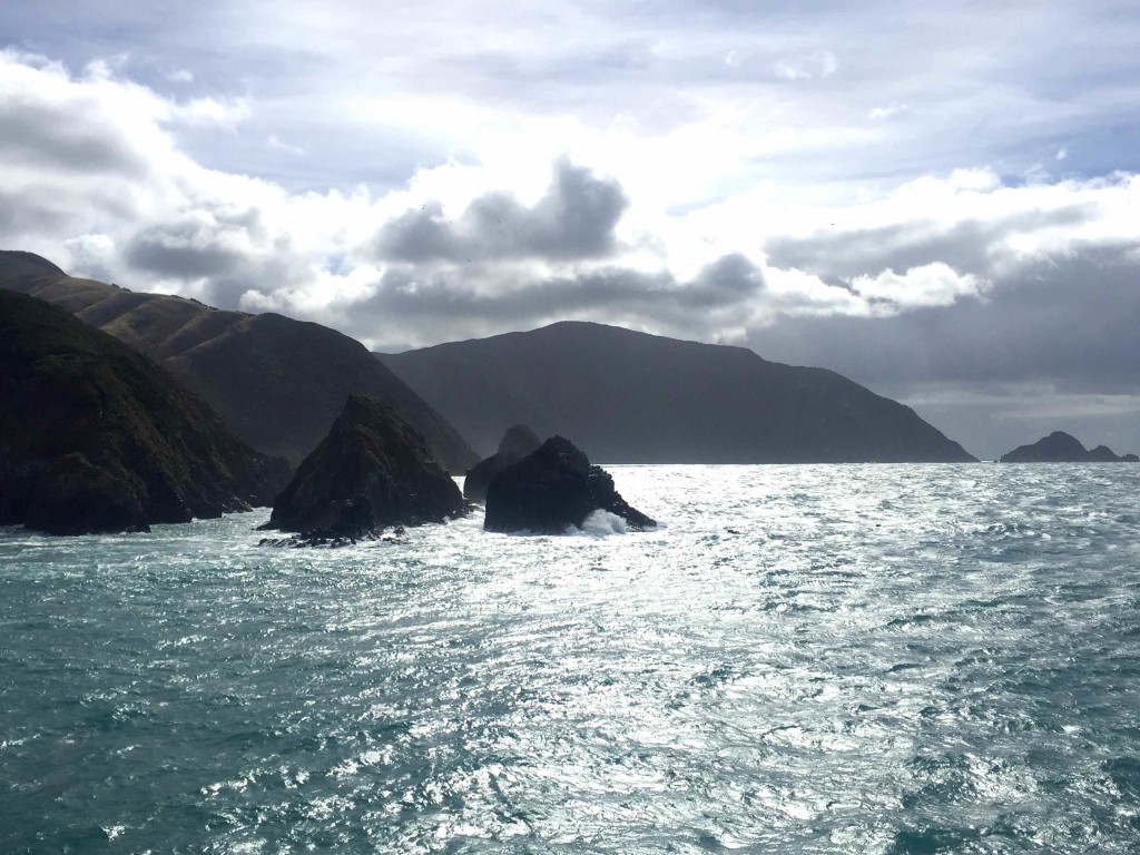 Entrance to Queen Charlotte Sound - A rather rugged welcome to the South Island