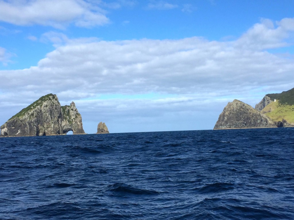 Hole in the Rock - Just off Cape Brett, Bay of Islands, New Zealand