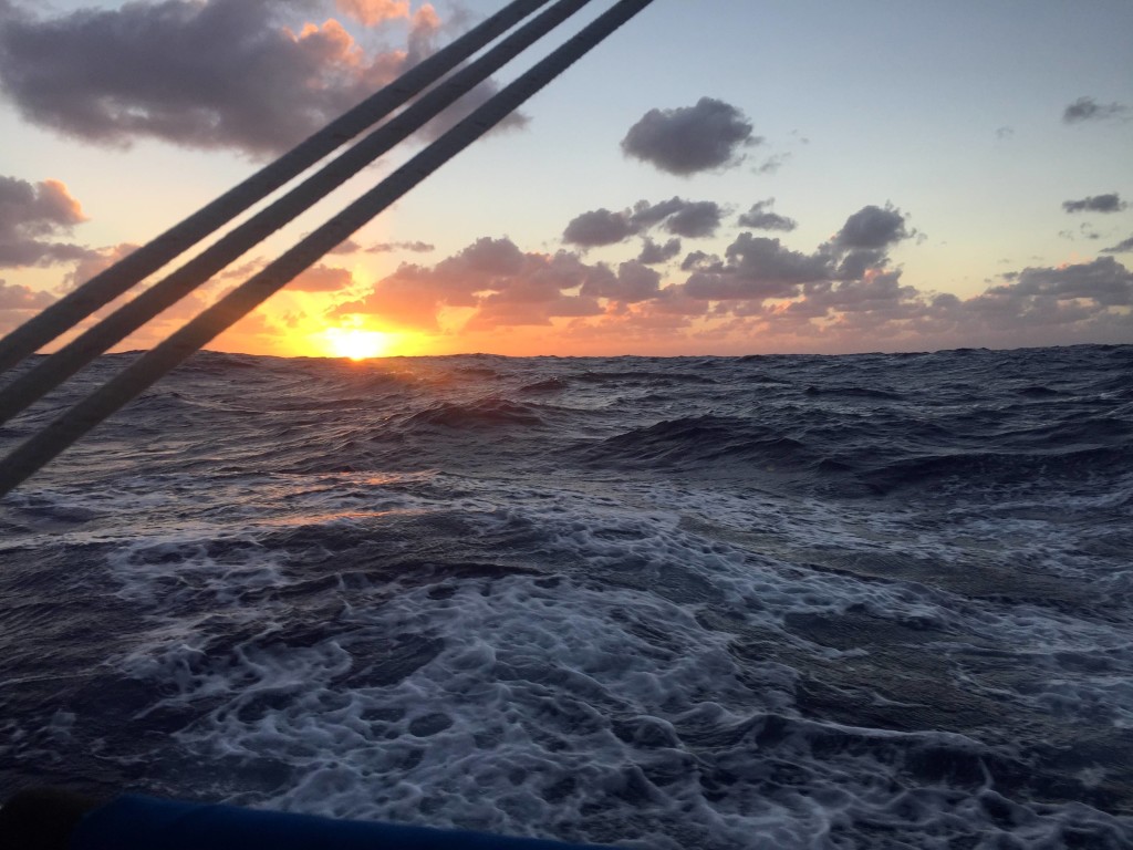 Dawn - Another beautiful dawn while underway in large seas