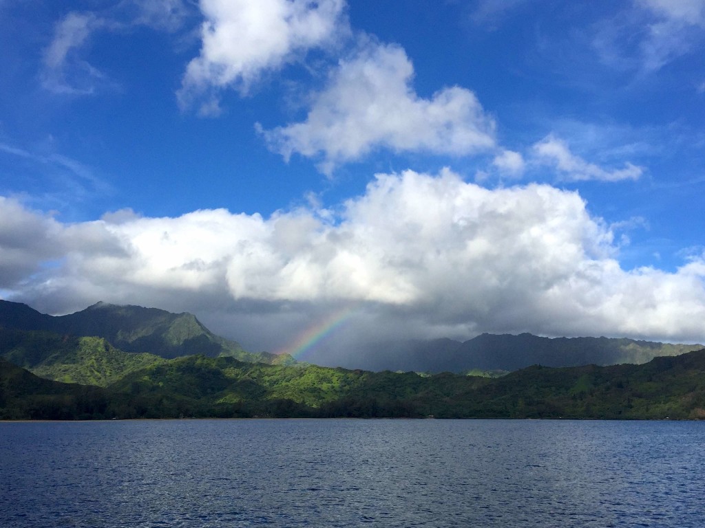 Hanalei Baybow - Classic view from Hanalei Bay anchorage