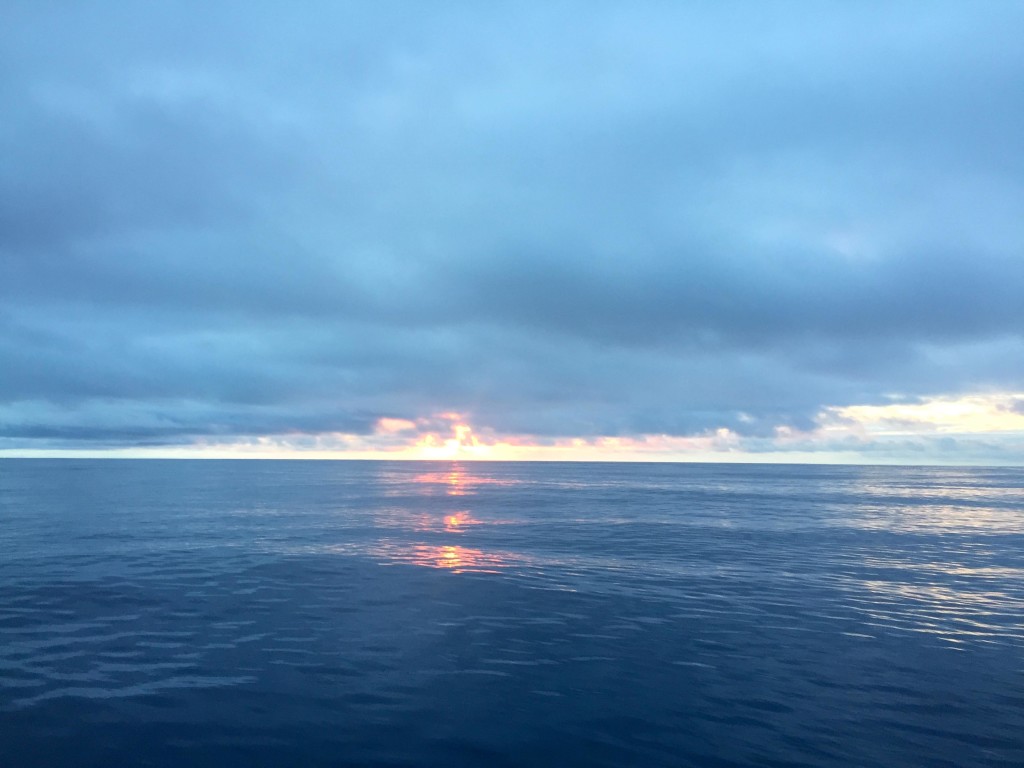 North Pac High - A shockingly calm ocean. Less large trash than expected here, but a LOT of very small plastic chunks - NOT GOOD.